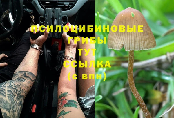 синтетический гашиш Каменногорск