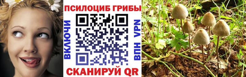 дарнет шоп  Первоуральск  Галлюциногенные грибы MAGIC MUSHROOMS 